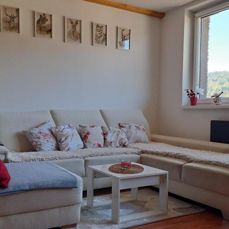 Mezonetovy Apartman V Oscadnici オシュチュニツァ エクステリア 写真