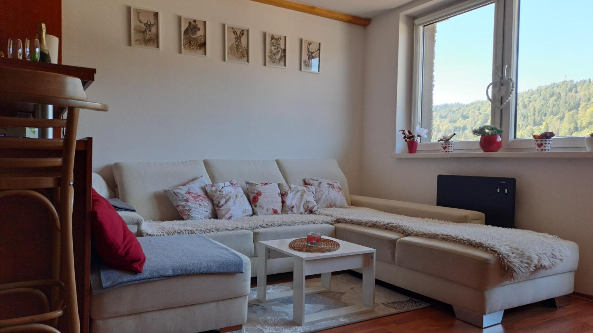 Mezonetovy Apartman V Oscadnici オシュチュニツァ エクステリア 写真