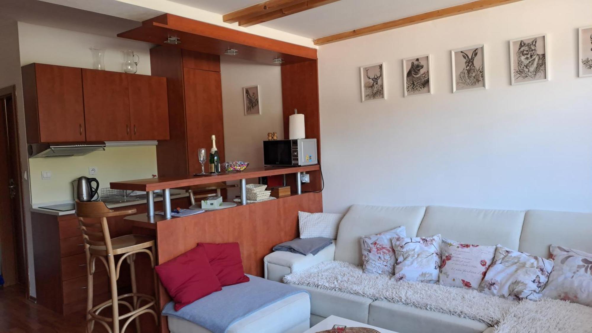 Mezonetovy Apartman V Oscadnici オシュチュニツァ エクステリア 写真
