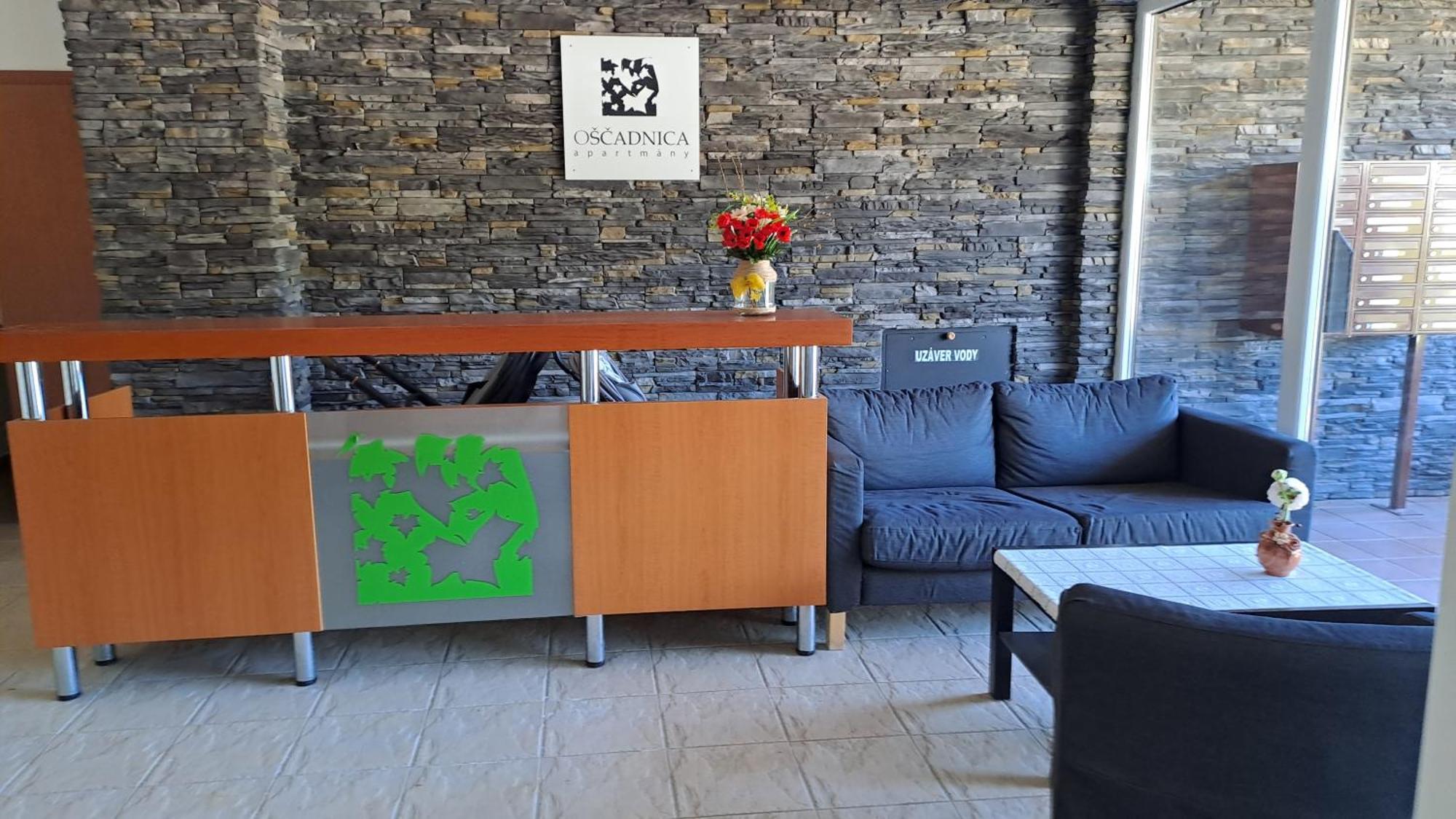 Mezonetovy Apartman V Oscadnici オシュチュニツァ エクステリア 写真
